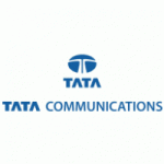 Tower Erection Service